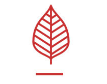 Gianluca Telera Ambiente